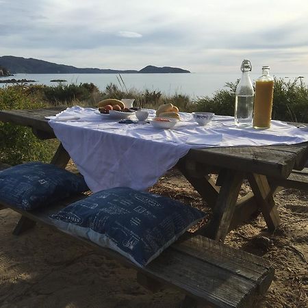 Ngaio Cottage カイテリテリ エクステリア 写真