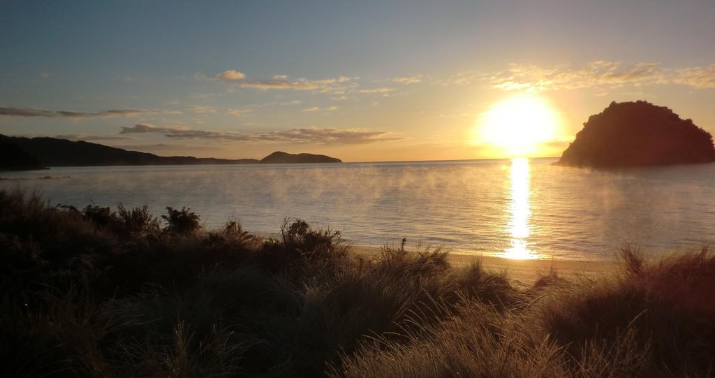 Ngaio Cottage カイテリテリ エクステリア 写真